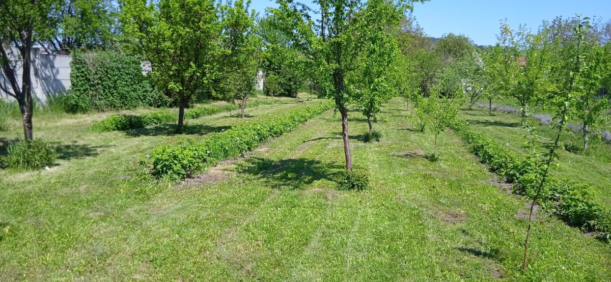 Nikodemus Haus 7.jpg